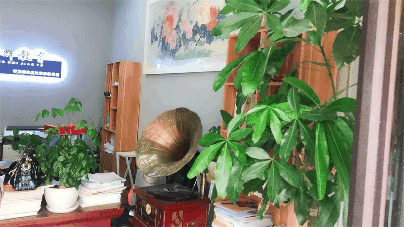 百年教育強勢進駐云陽，著力打造教育培訓事業(yè)新高地！